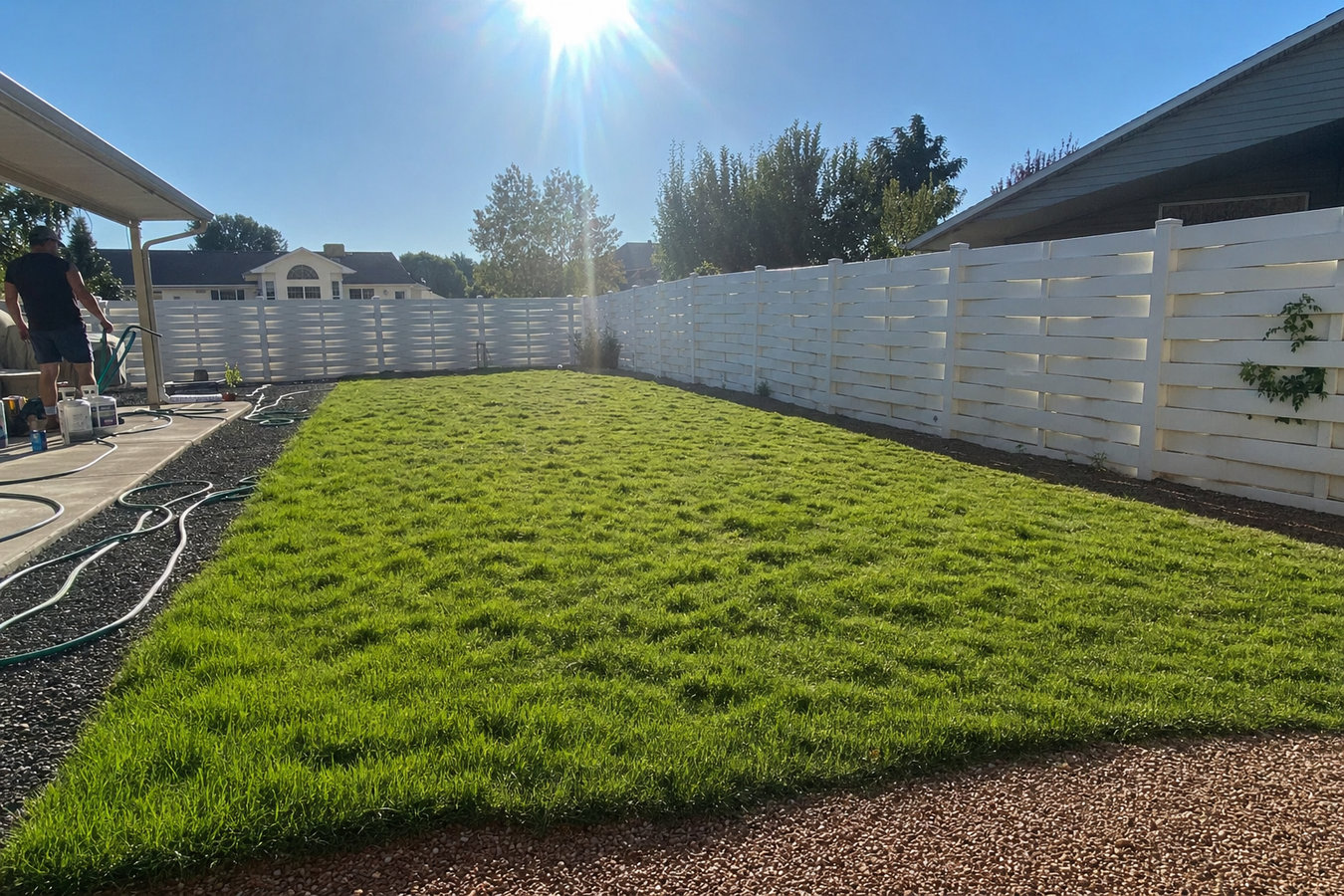 Drought-tolerant turf